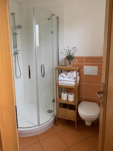 a bathroom with a shower and a toilet at Drevenica Podkovička - Terchová in Terchová