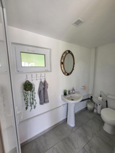 a bathroom with a sink and a toilet at Cabana Andi in Brebu