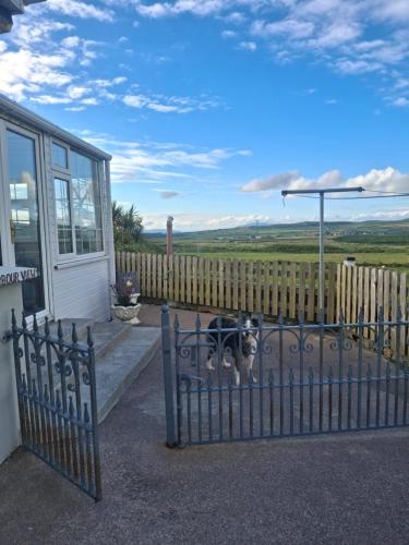 a dog standing behind a fence in front of a house at Skellig View Harbour View Sunrise Apartment in Portmagee