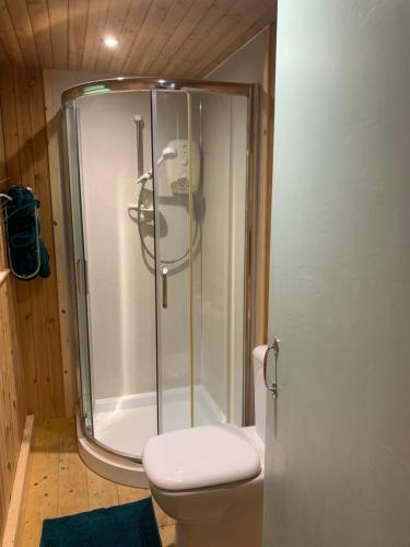 a bathroom with a shower with a toilet in it at Portlea Cabin in Oban
