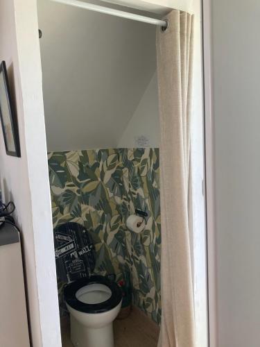 a bathroom with a toilet and a curtain at chambre spacieuse indépendante PDJ inclus in Plougastel-Daoulas