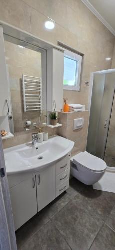 a bathroom with a sink and a toilet and a mirror at Apartmani Furesti 2 in Donji Stoliv