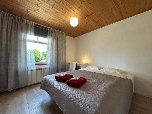 a bedroom with a bed with two red pillows on it at Puuna Öömaja B&B in Vihterpalu