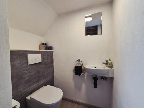 a bathroom with a white toilet and a sink at Boendgen's Ferienhaus mit Moselblick in Zell an der Mosel