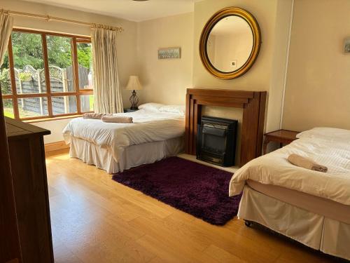 a bedroom with two beds and a mirror and a fireplace at Borodino Studio Apartment in Enniscorthy