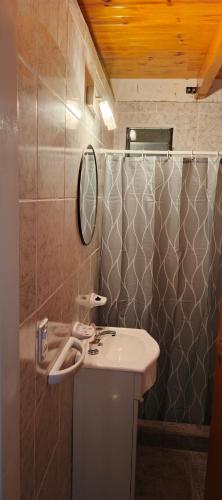 a bathroom with a sink and a mirror and a shower at Palo Blanco in Cinco Saltos