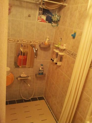 a bathroom with a shower with a toilet and a sink at Tokyo8home Hachioji 東京民宿 八王子之家 in Hachioji