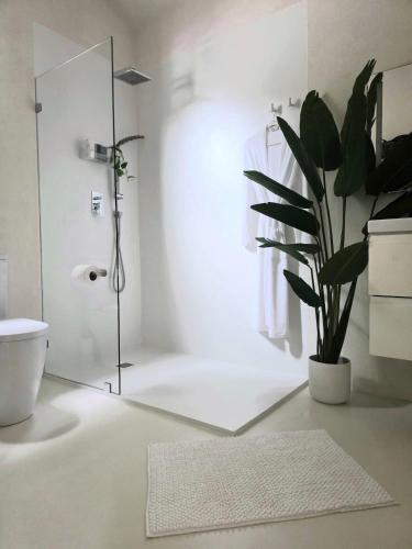 a bathroom with a shower and a potted plant at Villa Zen - 1 Bedroom Studio in Saint James