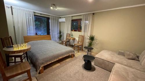 a bedroom with a bed and a table and a couch at Apartamenty Mitori in Dywity