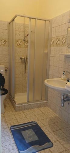 a bathroom with a shower and a sink at Gasthaus Kopper in Guttaring