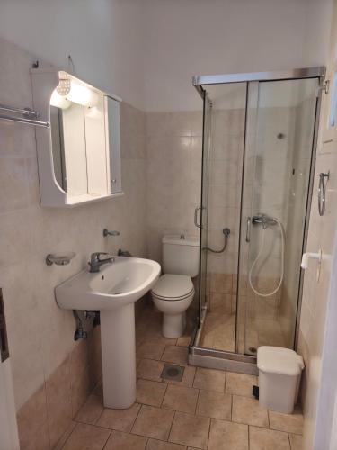 a bathroom with a toilet and a sink and a shower at Deilino - Olive View Studio in Amorgos