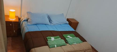 a small bedroom with a bed with blue and brown at Palo Blanco in Cinco Saltos