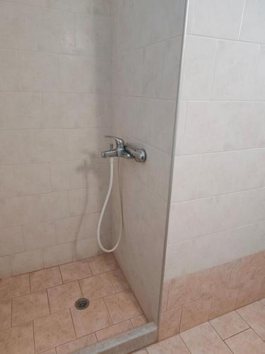 a shower with a shower head in a bathroom at Deilino - Side View Studio in Amorgos