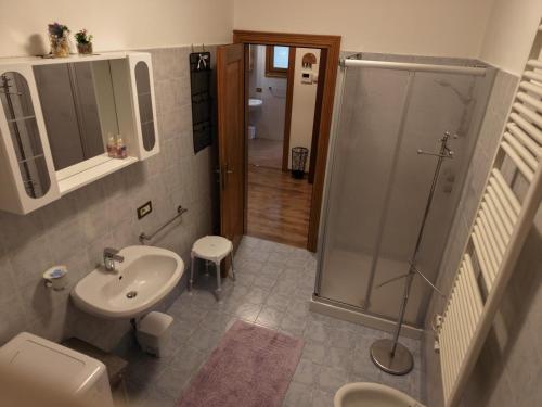 a bathroom with a shower and a sink and a toilet at Winter and Summer Cortina in Cortina dʼAmpezzo