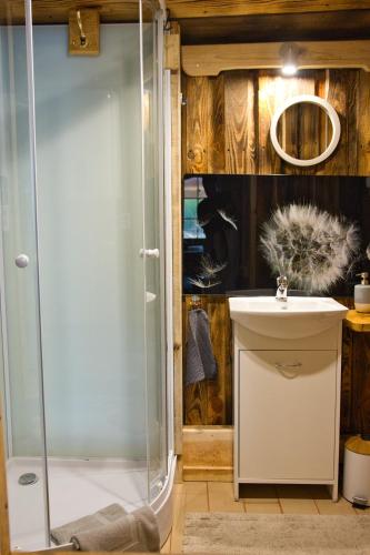 a bathroom with a shower and a sink at Agroturystyka Lasy Północy Leśna Chata in Dzierniakowo