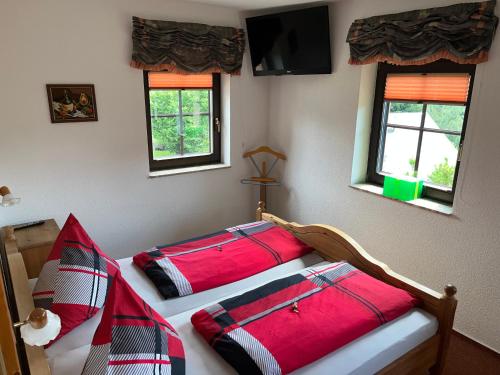 two beds in a bedroom with two red pillows at Ferienhaus Miriquidi Perle in Marienberg