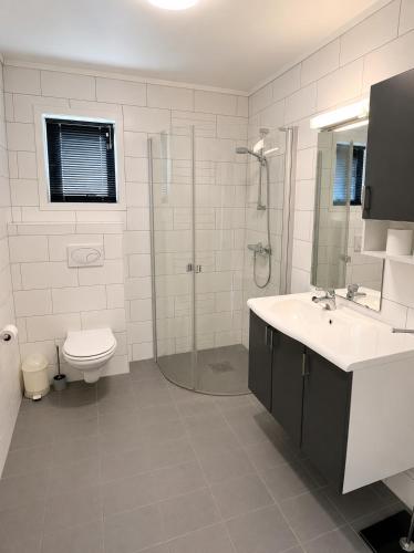 a bathroom with a toilet and a sink and a shower at Olavsberget camping in Porsgrunn
