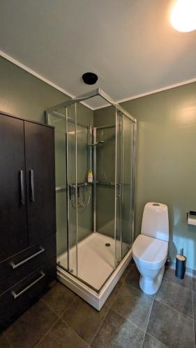 a bathroom with a glass shower with a toilet at Cozy pet-friendly apartment with parking in Flekkefjord
