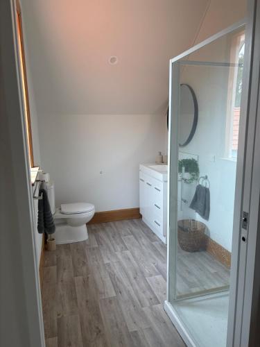 a bathroom with a toilet and a glass shower at Spacious 1 Bed apartment City centre in Palmerston North