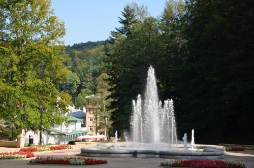 a fountain in the middle of a park at Sanatorium Uzdrowiskowe nr IV in Iwonicz-Zdrój