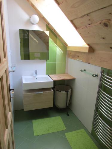a bathroom with a sink and a mirror at Apartmaji Koželj in Ribnica na Pohorju