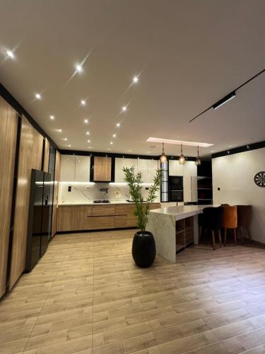a large kitchen with a potted plant in a room at Bgold home Apartment in Lekki