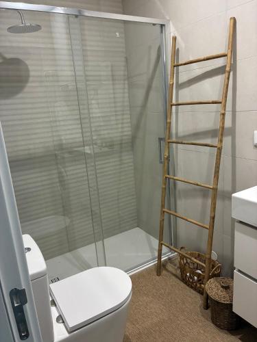 a bathroom with a shower and a toilet and a ladder at La Petite Piété in Faro