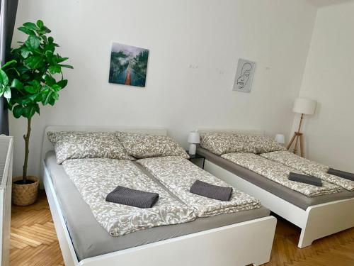 70 m2 Apartment with Terrace & Free Parking