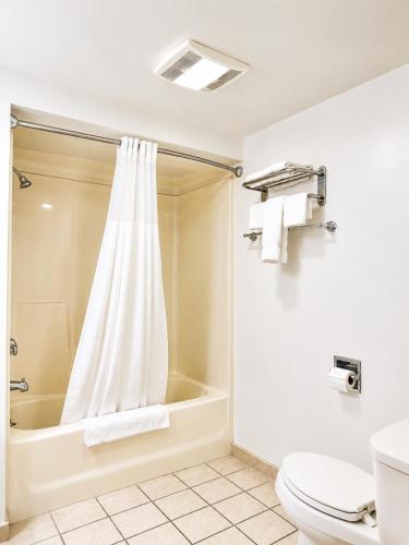 a bathroom with a bath tub and a toilet at DEEPWELL MOTEL in Owego