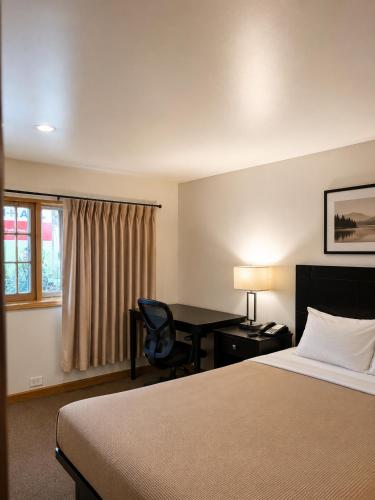 a hotel room with a bed and a desk at DEEPWELL MOTEL in Owego