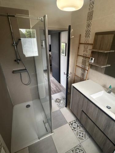 a bathroom with a shower and a sink at Maison chaleureuse proche plage et forêt in Neufchâtel-Hardelot