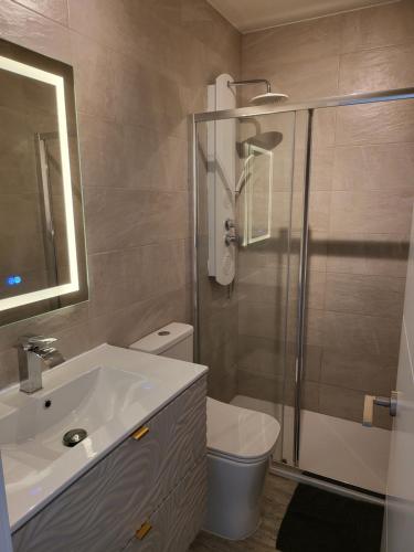 a bathroom with a toilet and a sink and a shower at Beach Apartments Old Town in Estepona