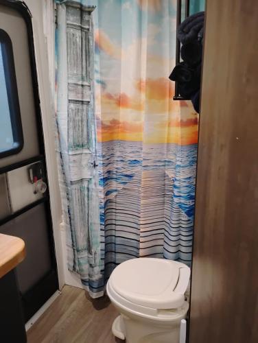 a bathroom with a toilet and a shower curtain at Camper Rental in Saint Helena Island