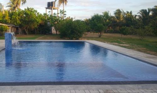 a large blue swimming pool with a fountain at JEYs Place in Nilaveli