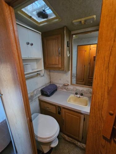 a small bathroom with a toilet and a sink at Casa Rodante Tony 1 in San Felipe