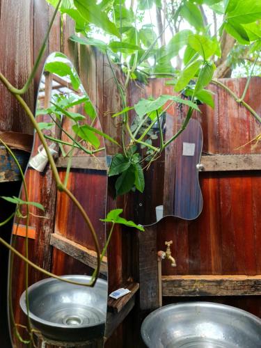 a plant in a metal bowl next to a mirror at Mucajá Glamping com charme a poucos passos da Ilha in Alter do Chao