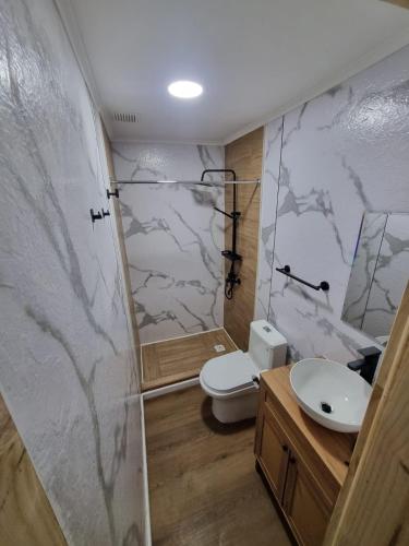 a bathroom with a toilet and a sink and a shower at Departamento interior en el centro de llanquihue in Llanquihue