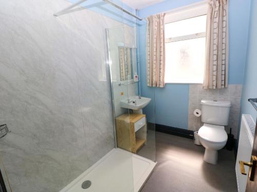 a bathroom with a shower and a toilet and a sink at White Thorns in Haverfordwest
