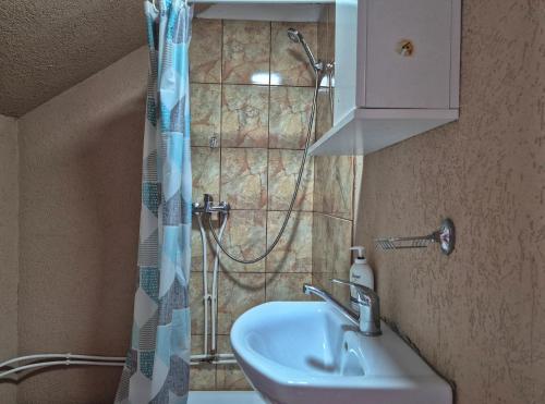 a bathroom with a sink and a shower at Casa Grigor in Călineşti