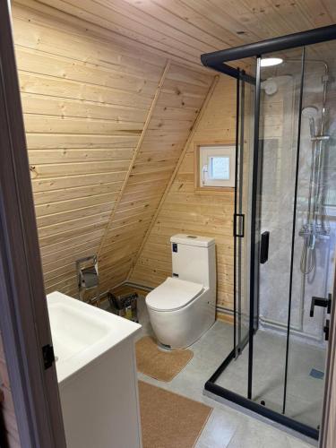 a bathroom with a toilet and a glass shower at UYA A-farme in Saty
