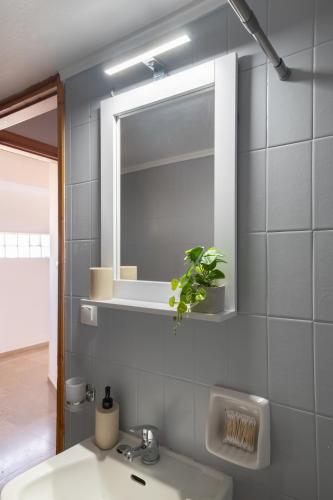 a bathroom with a sink and a mirror and a plant at Ser Rooms 05 in Petra