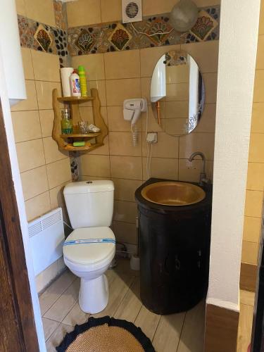 a small bathroom with a toilet and a sink at Старий Хутір - Етно Хатина 1914 in Oposhnya