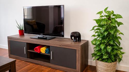 a entertainment center with a tv and a plant at Apartamento La Cava in Calahorra