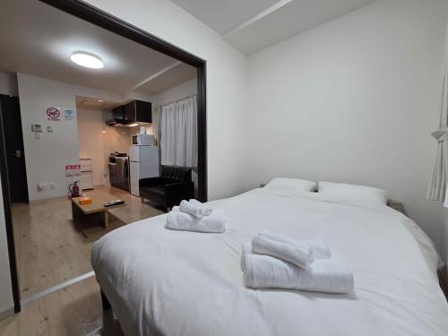 Caprice Residence Sapporo East 3 Guests Wi-Fi and AC