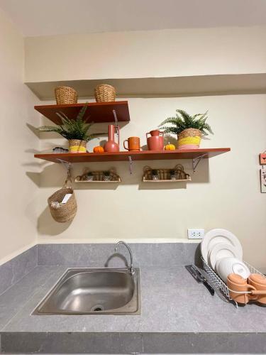a kitchen counter with a sink and shelves with plants at Thousand Journey 2 in Naga