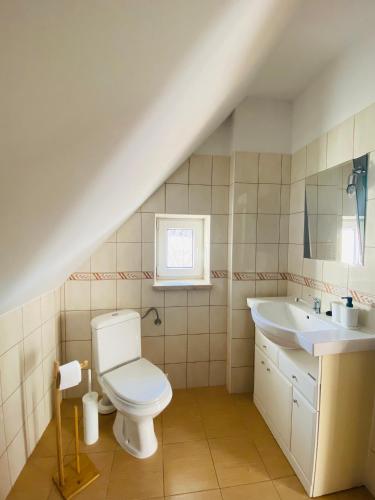 a bathroom with a toilet and a sink at Apartamenty & Domek Gawędówka in Krościenko