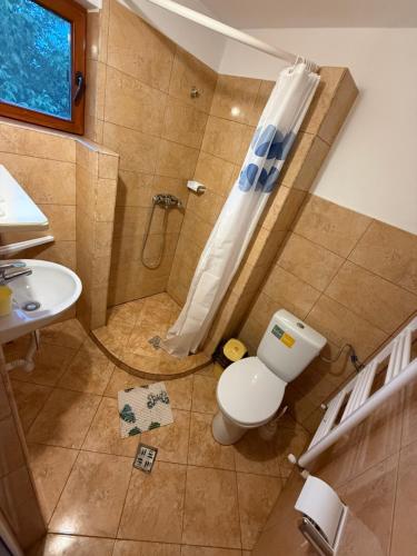 a bathroom with a shower and a toilet and a sink at Gold Fayen House Cheile Turului in Tureni