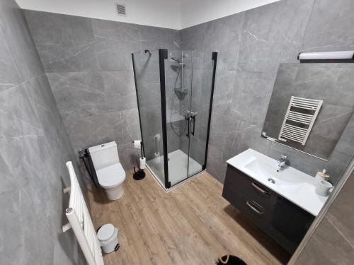 a bathroom with a shower and a toilet and a sink at Résidence des îles - Samos III in Ajaccio