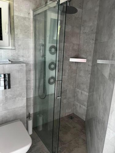 a glass shower in a bathroom with a toilet at Domek Za Wyspą 1 in Chmielów