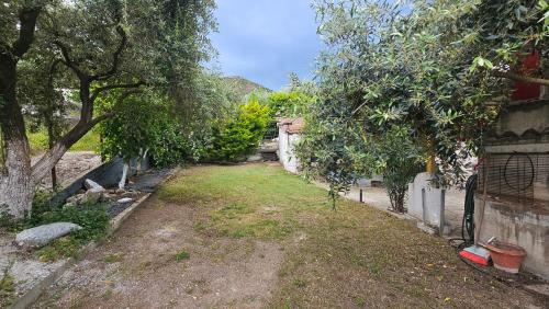 a yard with some trees and a fence at Olive Garden Estate in Elevtheraí